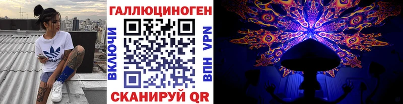 маркетплейс Telegram  Ногинск  Галлюциногенные грибы прущие грибы  цены   omg зеркало 